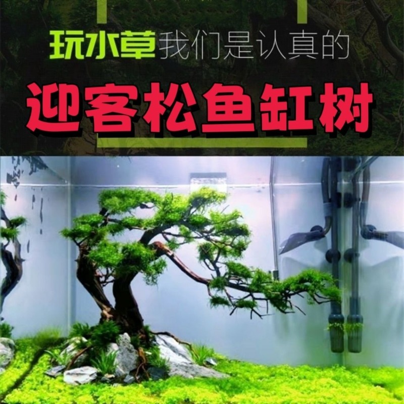 Professional Eco-Friendly Wood - đánh giá và giá Resin Art With Wood