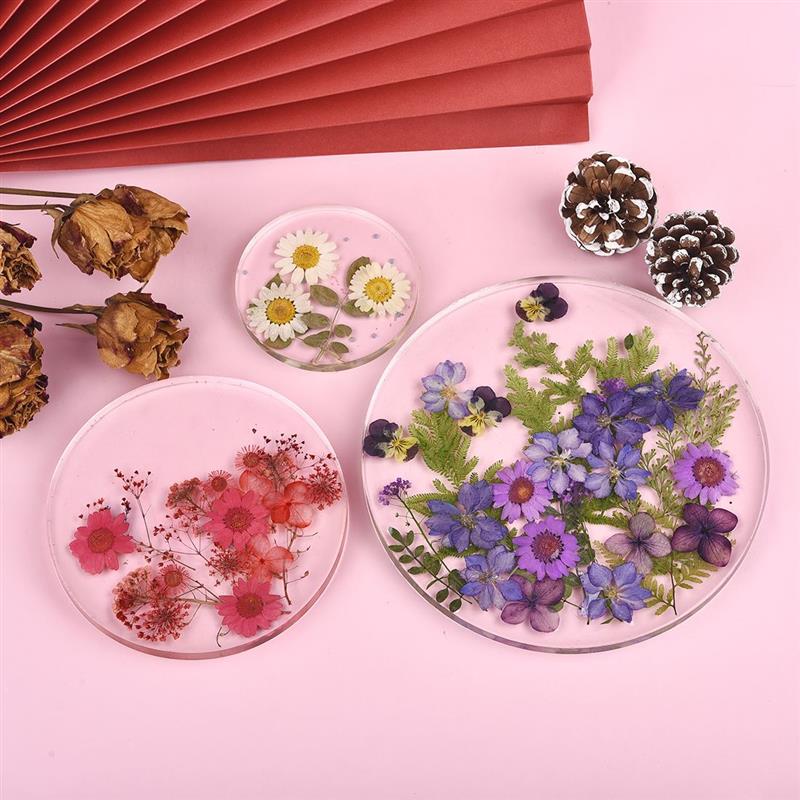 Vòng Vuông, Hình Chữ Nhật, Coa - đánh giá và giá Coaster Mold Square